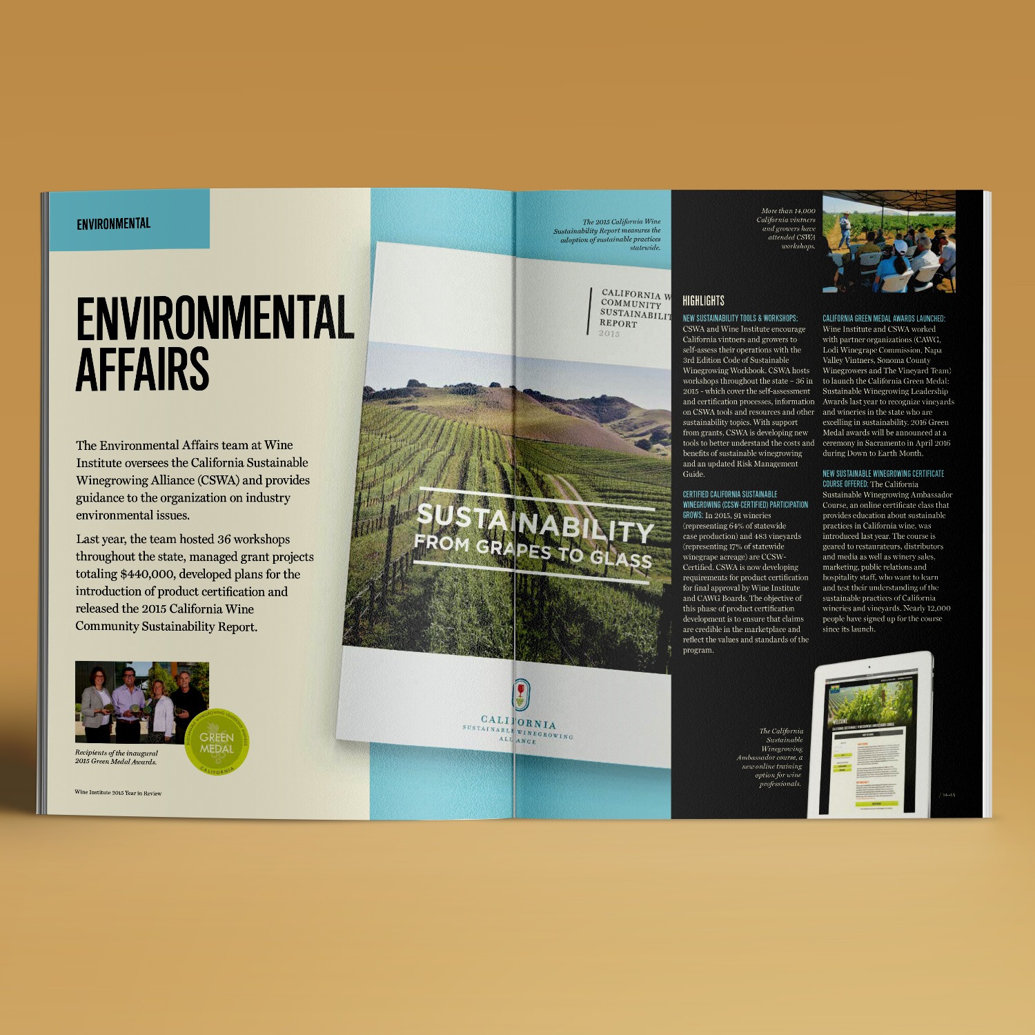 WI.YearInReview1.2015