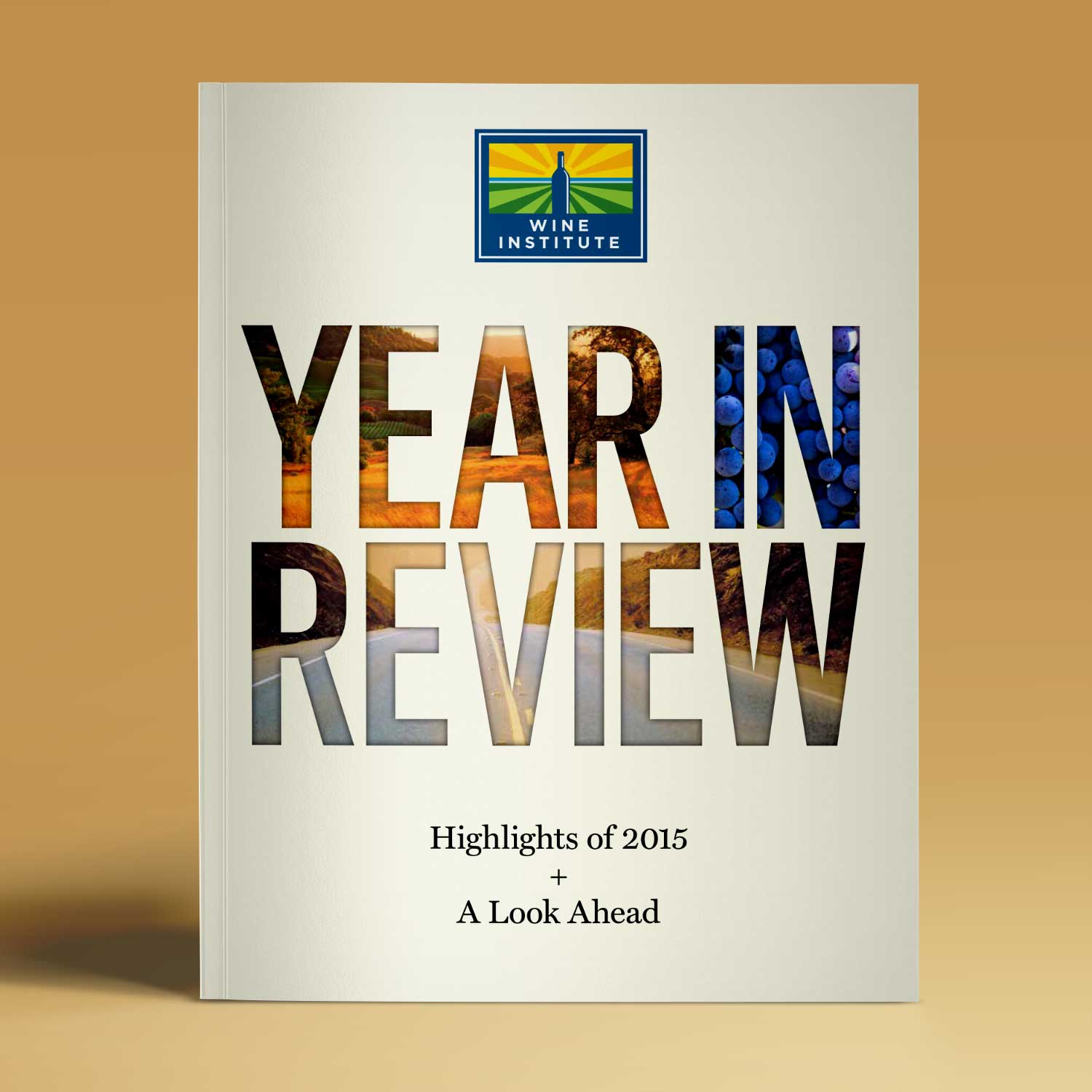 WI.YearInReview2015