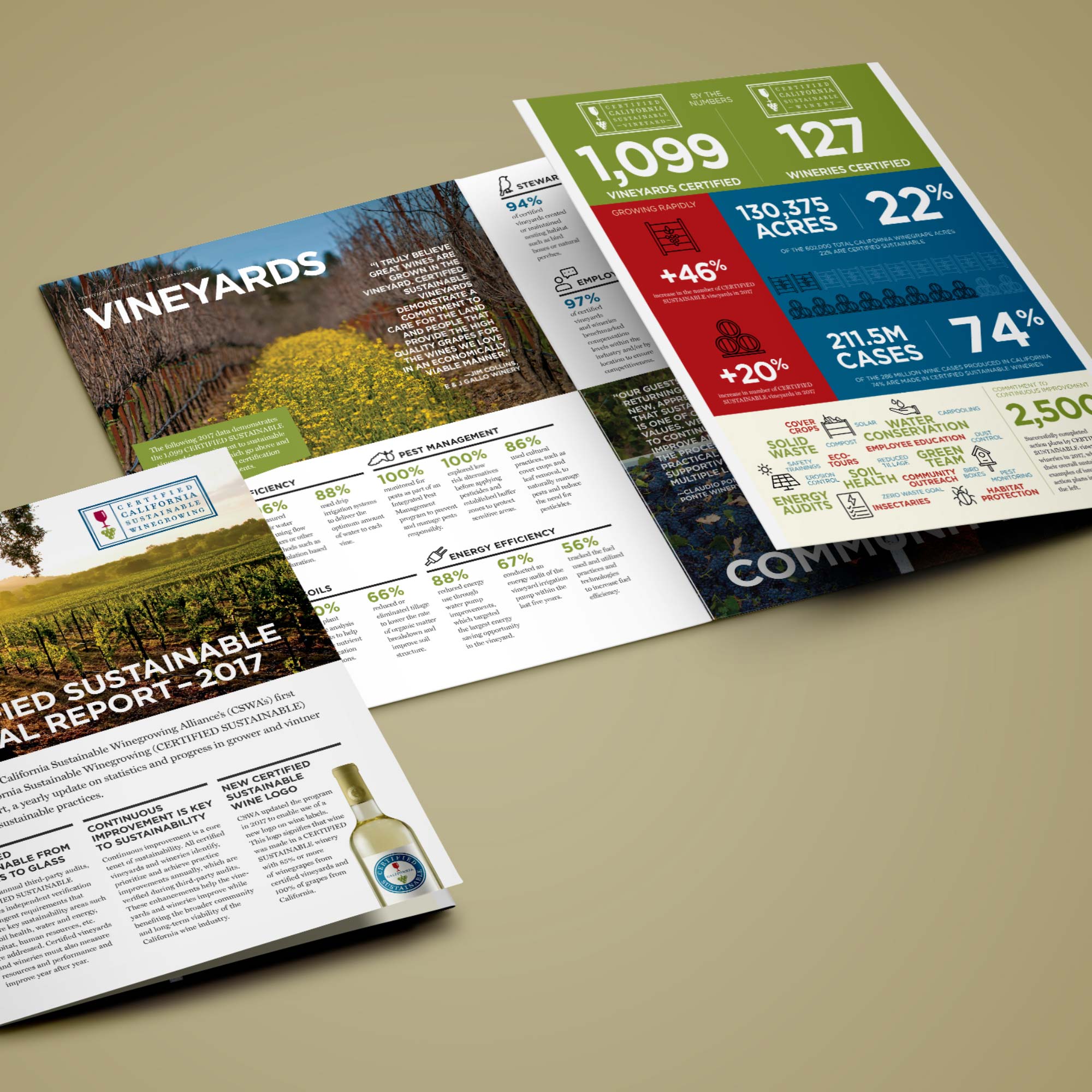 CSWA.AnnualReport.Mockup01