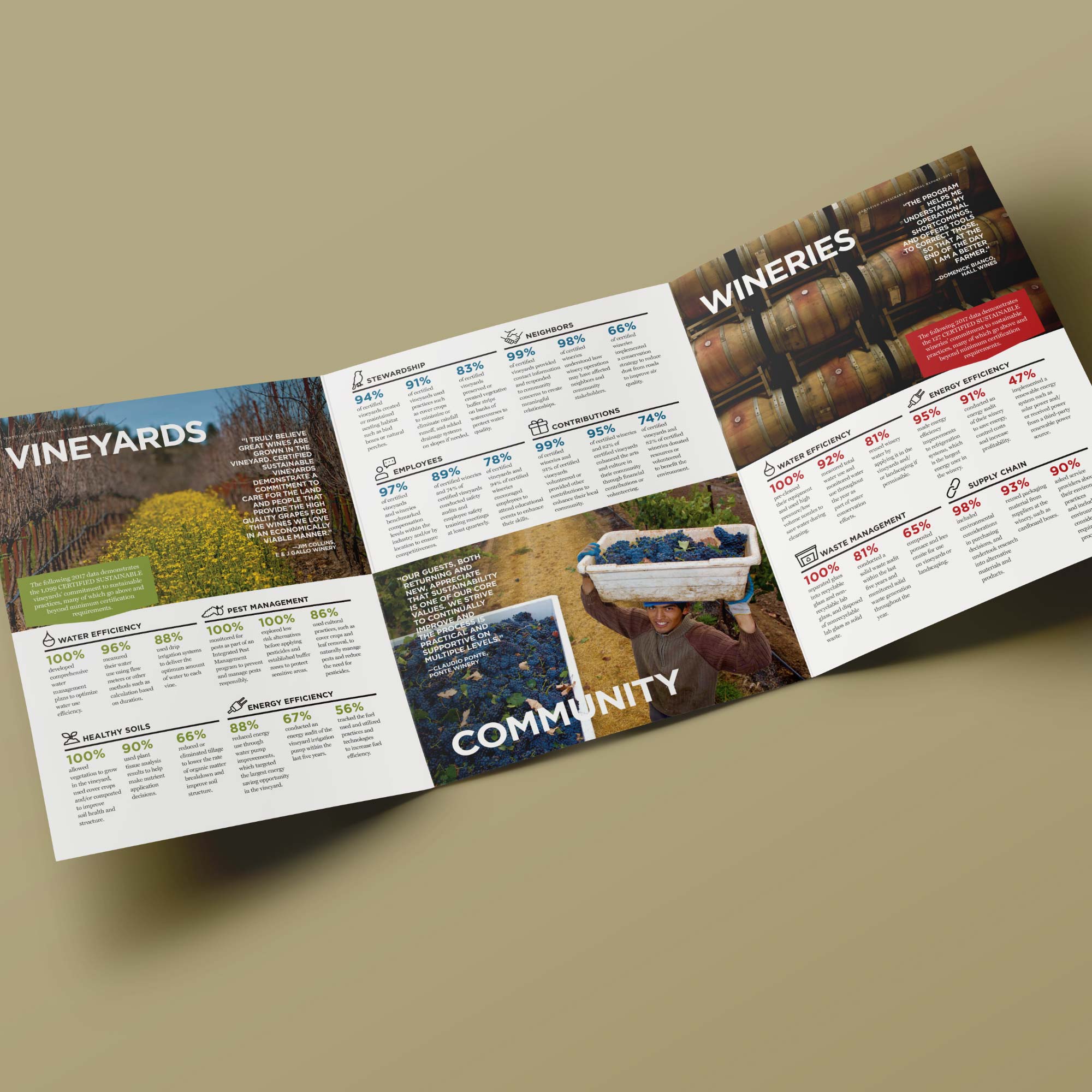 CSWA.AnnualReport.Mockup02