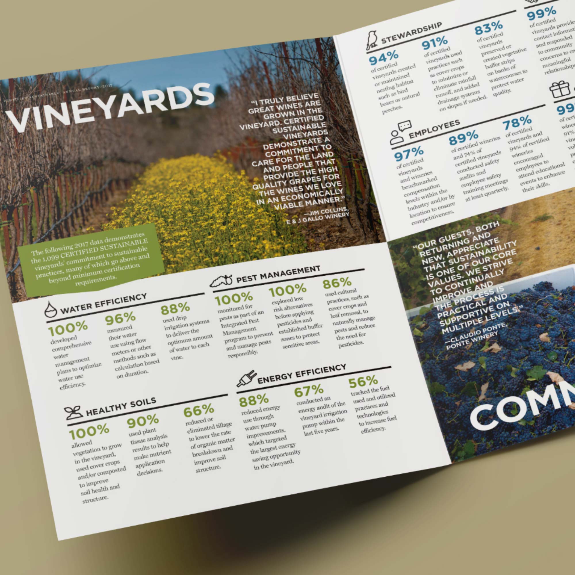 CSWA.AnnualReport.Mockup03