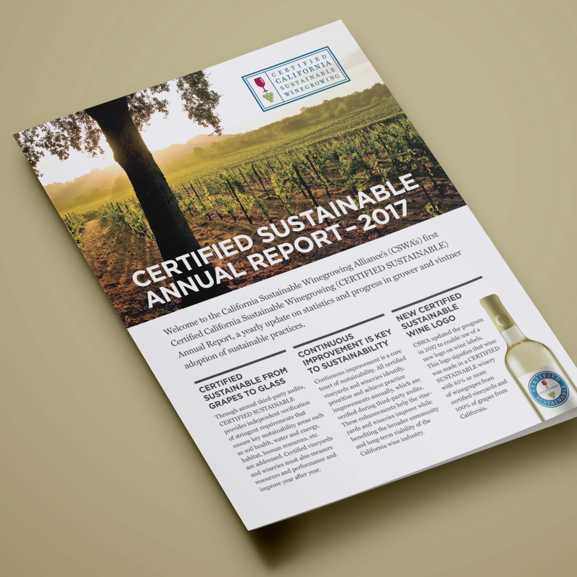 CSWA.AnnualReport.Mockup03D