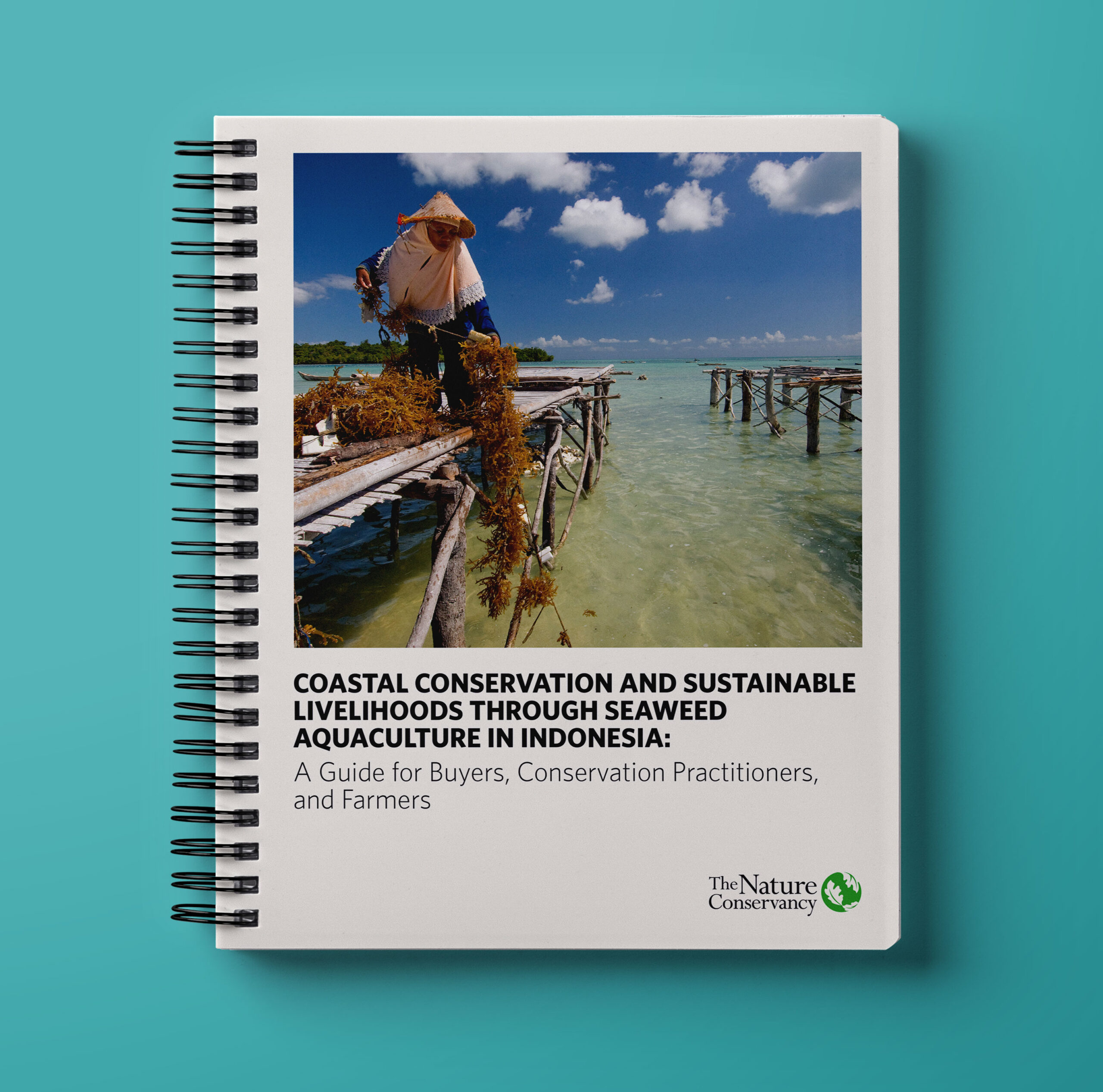 TNC.SeaweedReport.01