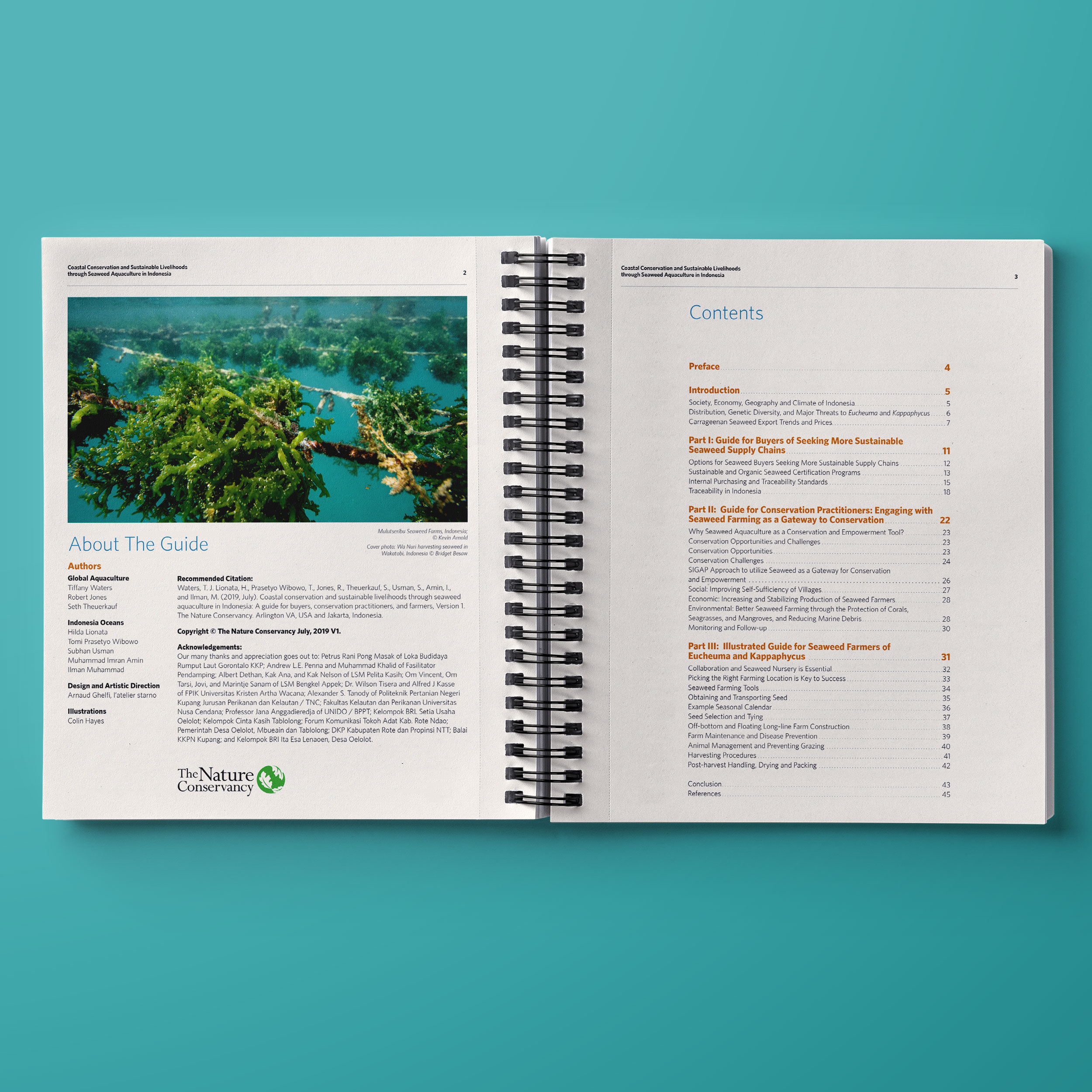 TNC.SeaweedReport.02