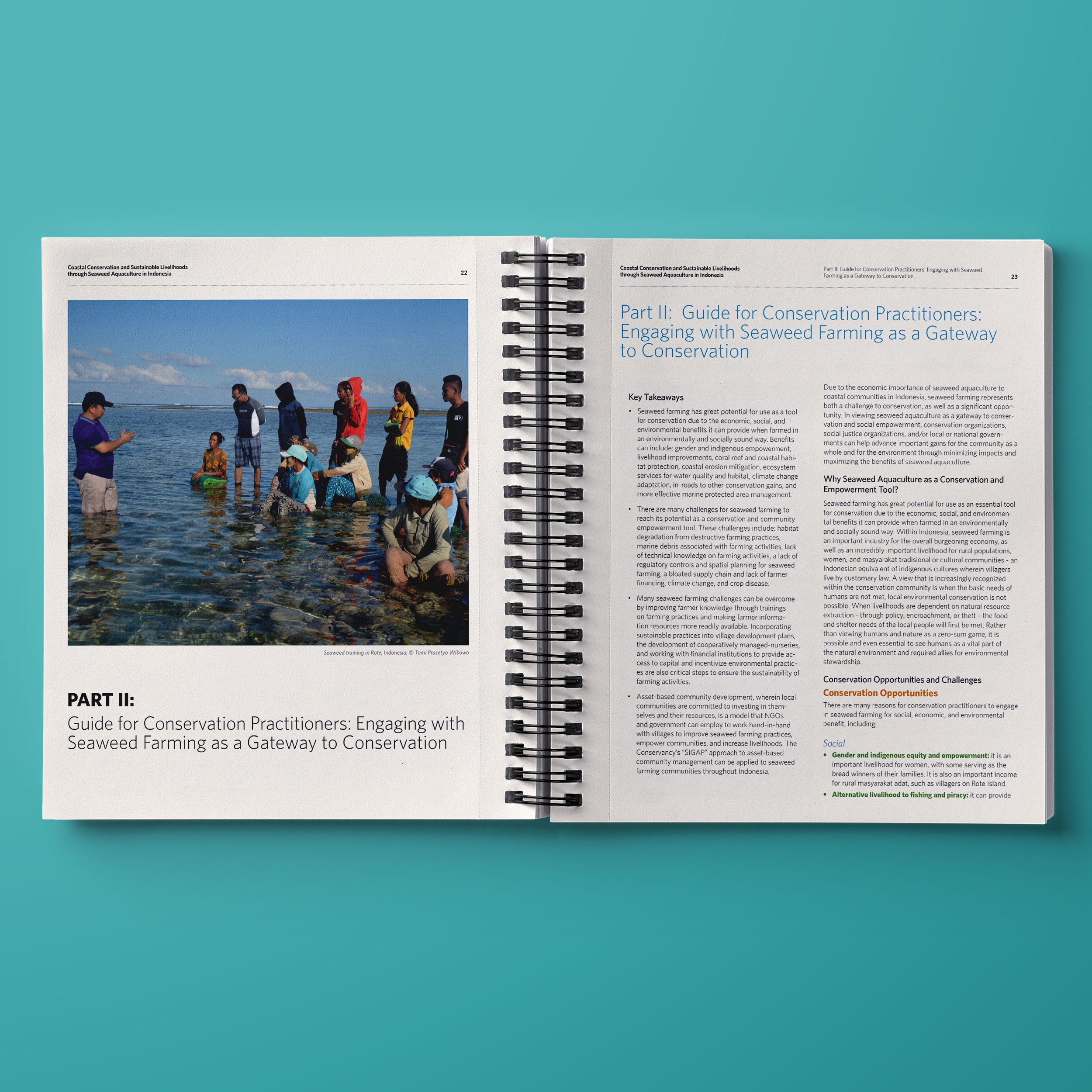 TNC.SeaweedReport.03