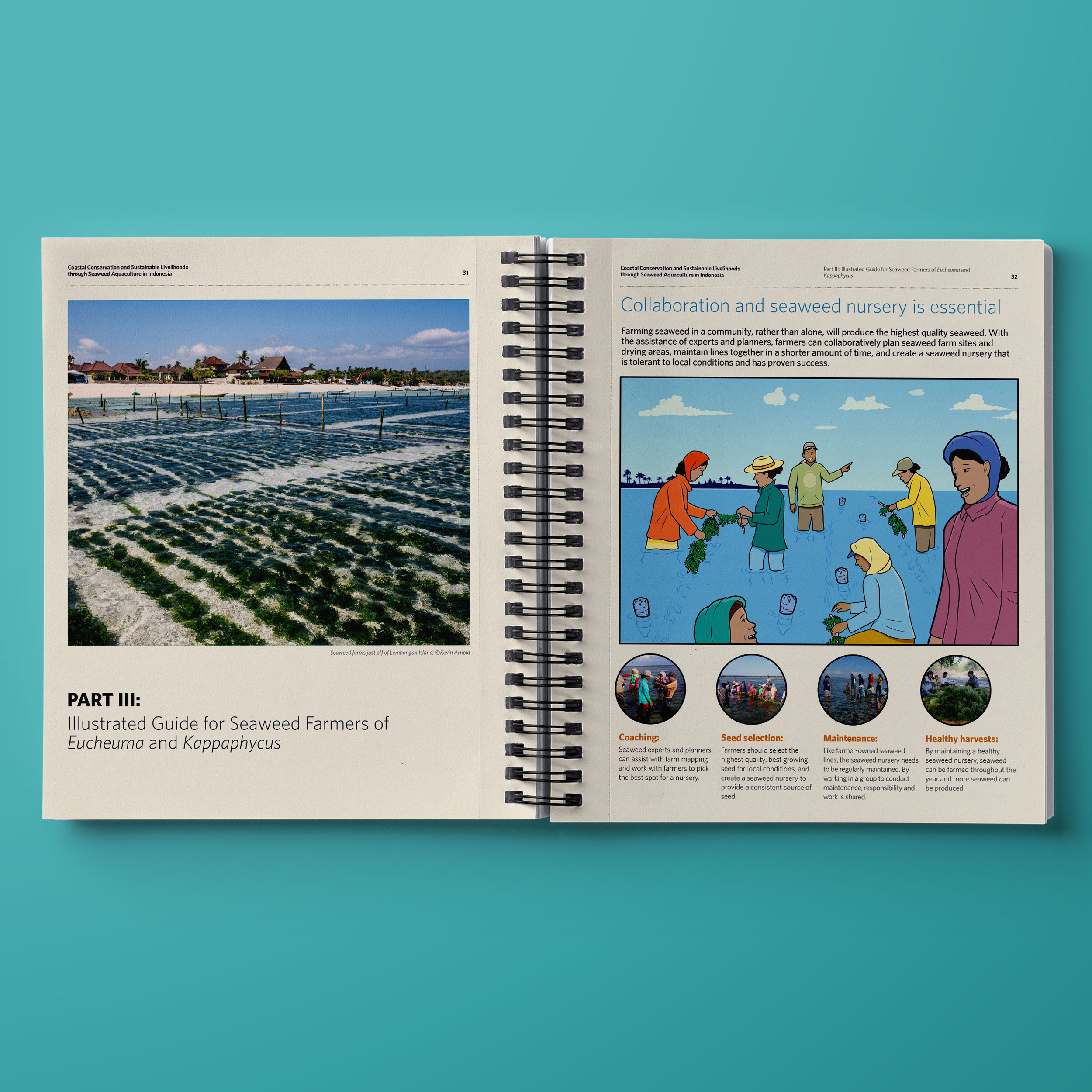 TNC.SeaweedReport.04