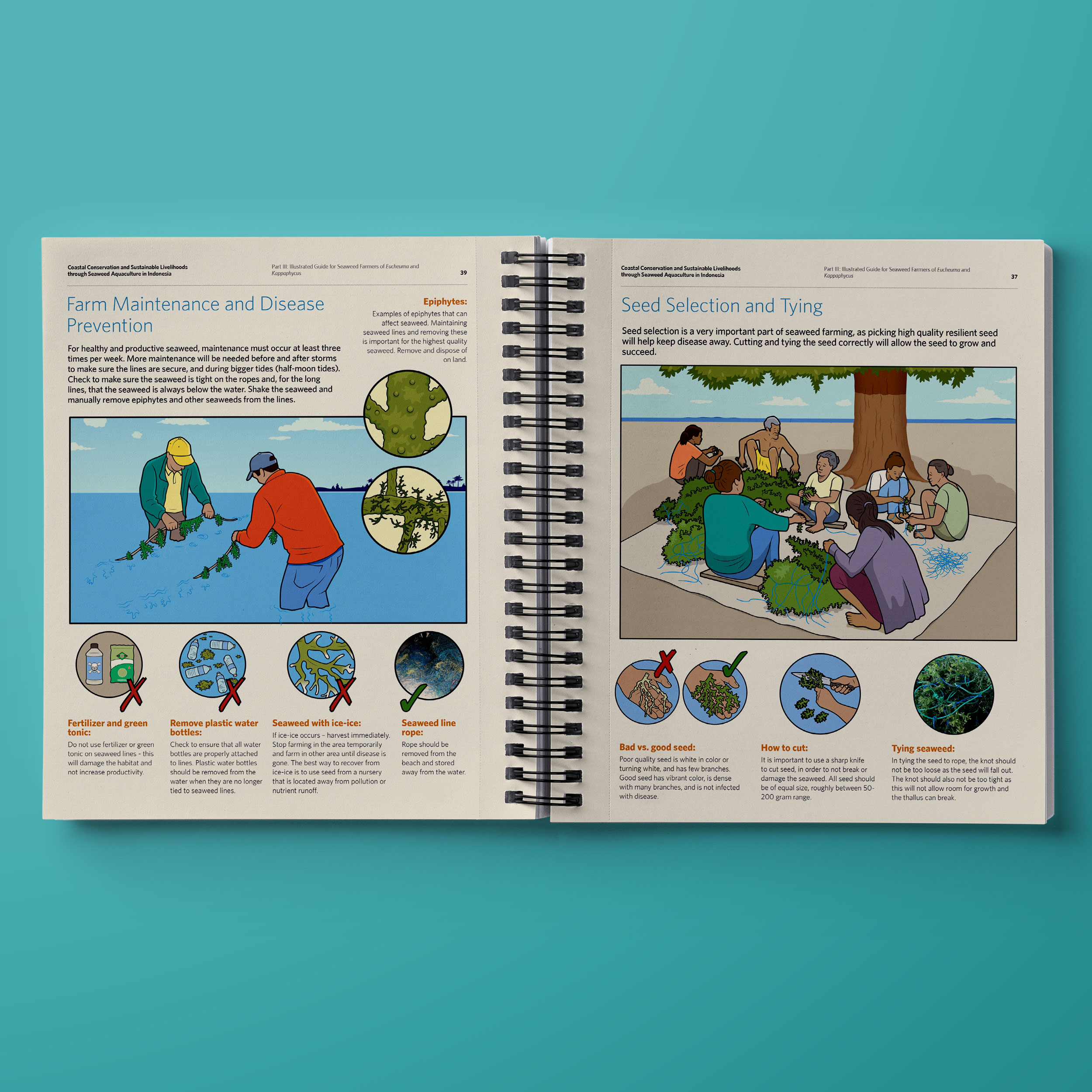 TNC.SeaweedReport.05