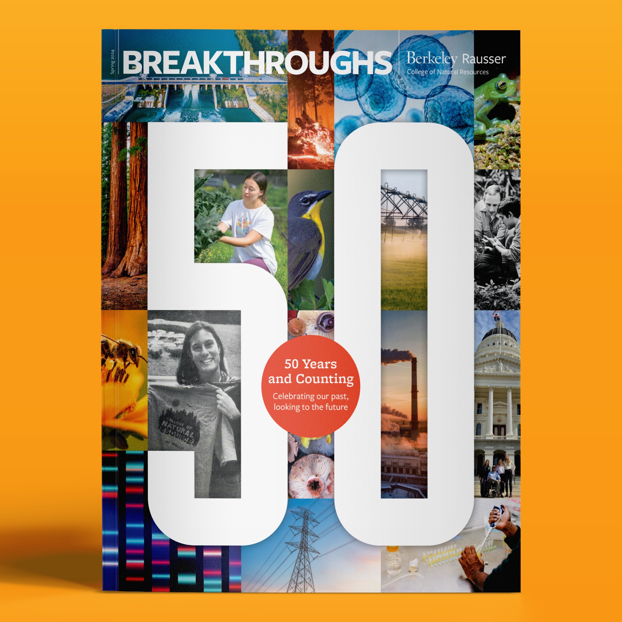 Breakthroughs.Spring24.0000