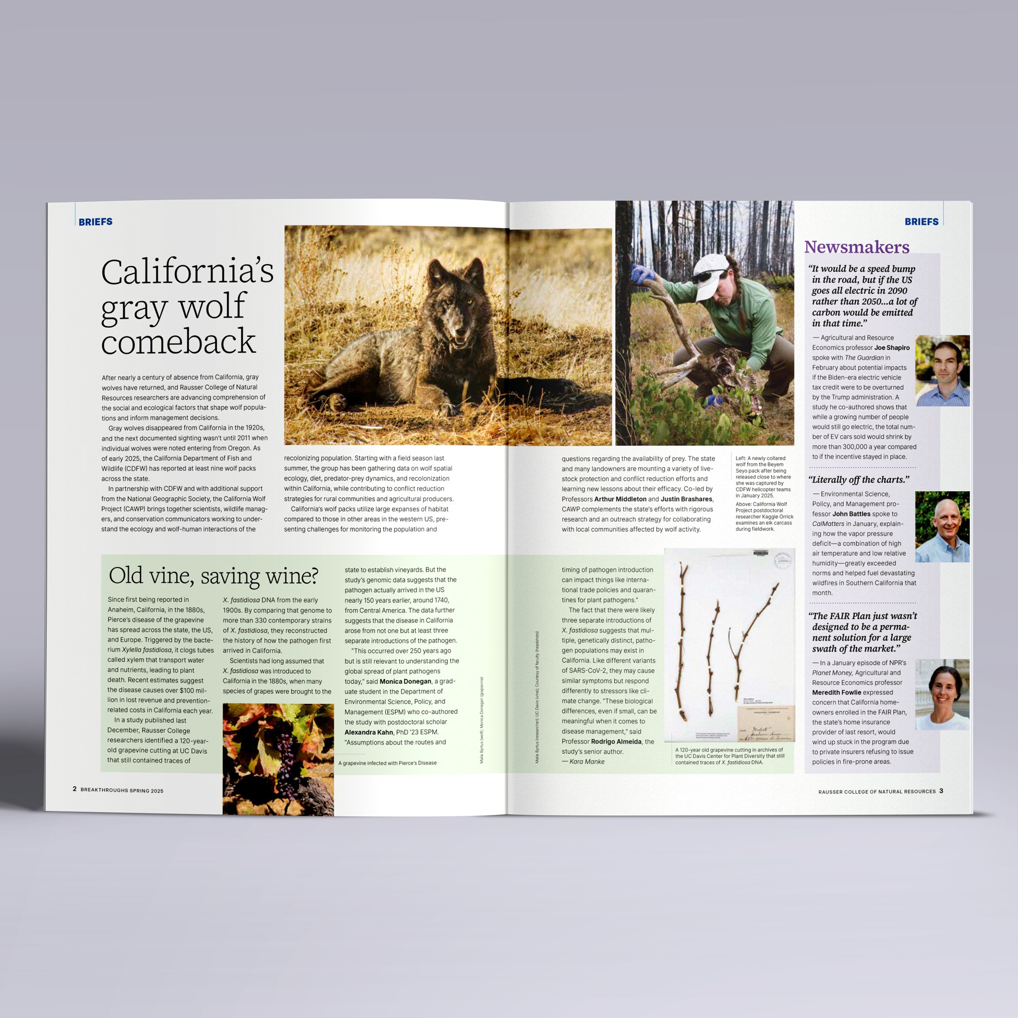 Breakthroughs.Spring25.01