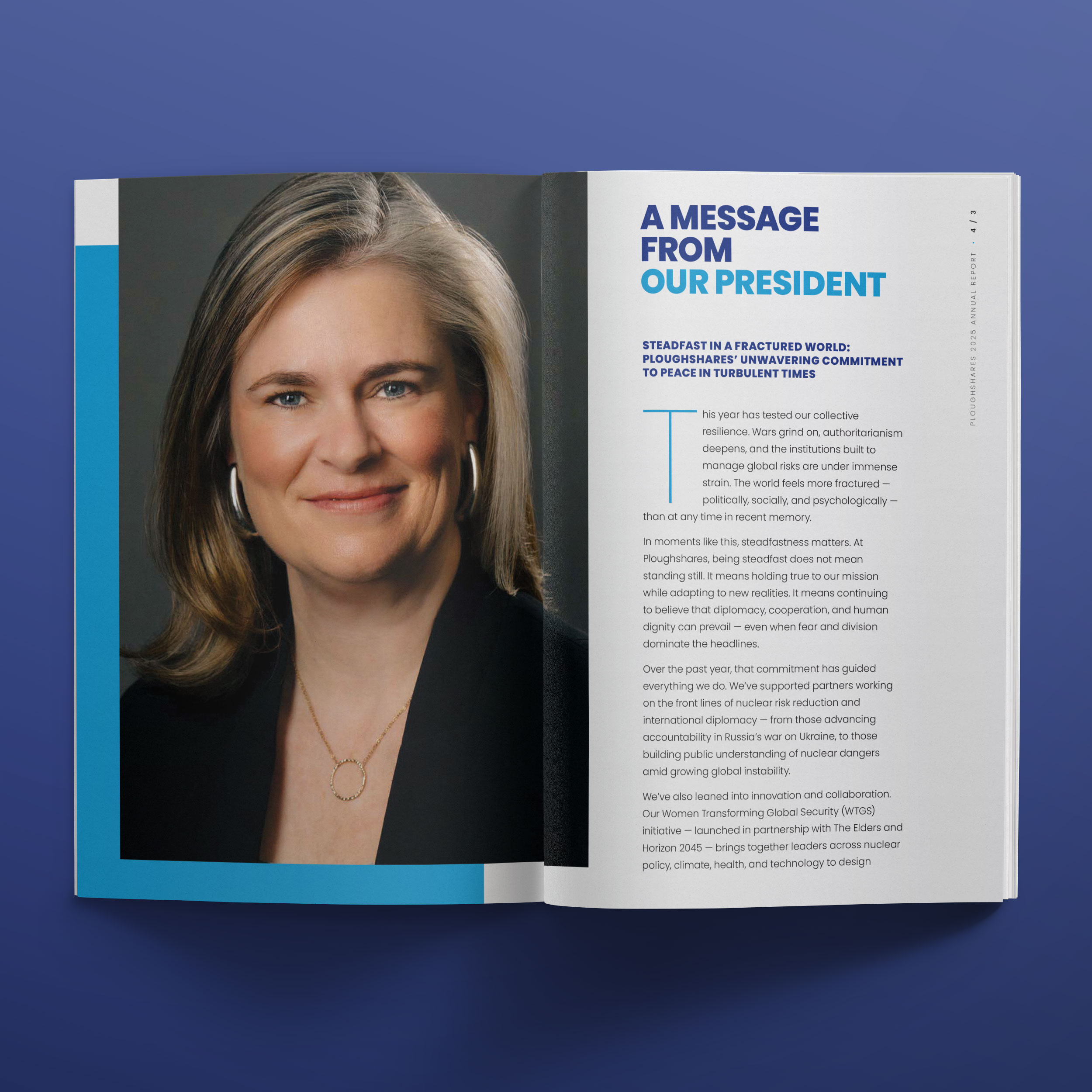 Ploughshares2025AR.InSitu01